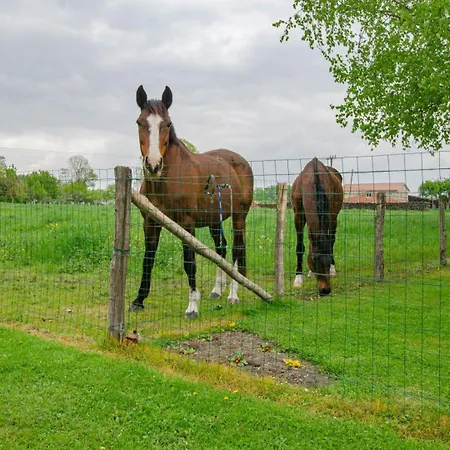 Nyaraló Aux Souvenirs D'enfance *